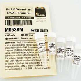 Bst 2.0 WarmStart DNA Polymerase (120,000 units/ml) - 8,000 units