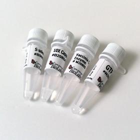 Vaccinia Capping System - 400 units