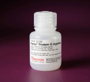Pierce™ Protein G Agarose, Thermo Scientific
