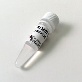 M13K07 Helper Phage - 1.8 ml