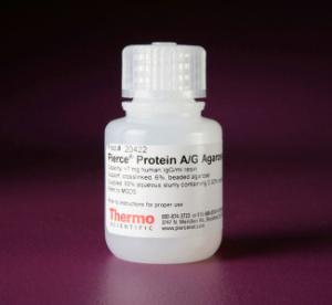 Pierce™ Protein A/G and A/G Plus Agarose, Thermo Scientific