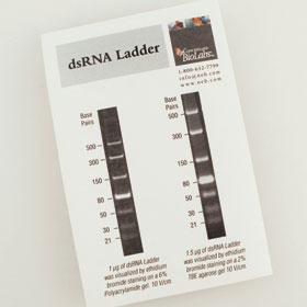 dsRNA Ladder - 25 gel lanes