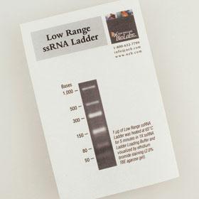 Low Range ssRNA Ladder - 25 gel lanes
