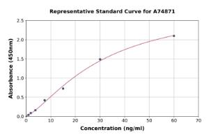 Representative standard curve for Mouse Insulin Receptor beta ELISA kit (A74871)