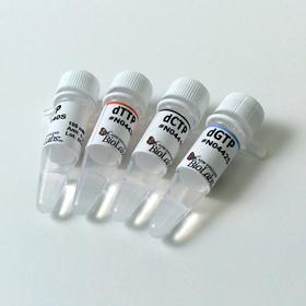 Deoxynucleotide Solution Set - 25 umol of each