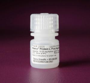 Pierce™ Protein L Plus Agarose, Thermo Scientific