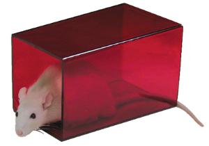 Rodent Retreats Rat Enrichment Devices, Bio-Serv