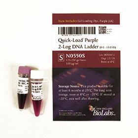 Quick-Load Purple 2-log DNA Ladder (0.1-10.0 kb) - 250 gel lanes
