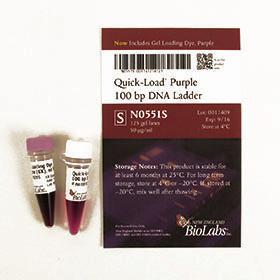 Quick-Load Purple 100 bp DNA Ladder - 125 gel lanes