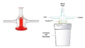 Mosquito Feeder, Small, 14 mm Diameter Feed Area, Membrane Style, Glass, Chemglass