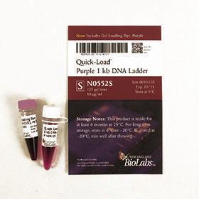 Quick-Load Purple 1 kb DNA Ladder - 125 gel lanes