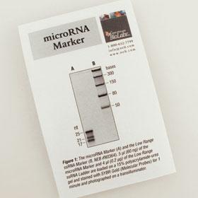 microRNA Marker - 100 gel lanes