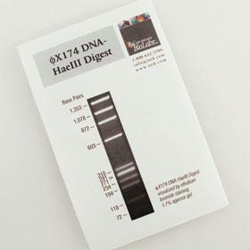 PhiX174 DNA-Hae III Digest - 50 gel lanes