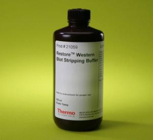 Restore™ Western Blot Stripping Buffer, Thermo Scientific