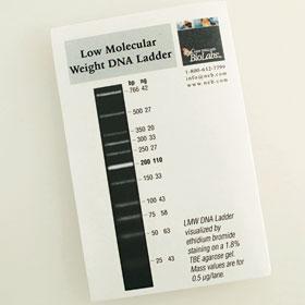 Low Molecular Weight DNA Ladder - 100 gel lanes