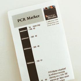 PCR Marker - 100 gel lanes