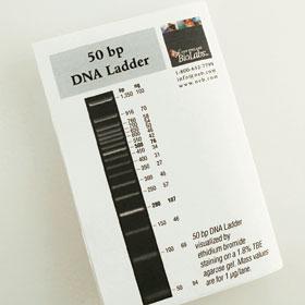 50 bp DNA Ladder - 100-200 gel lanes