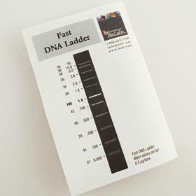 Fast DNA Ladder - 50-200 gel lanes