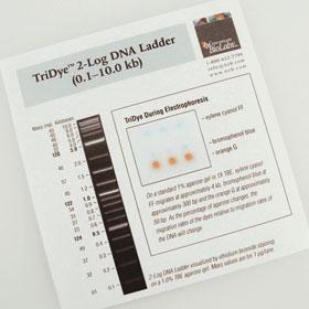 TriDye 2-Log DNA Ladder - 125-250 gel lanes