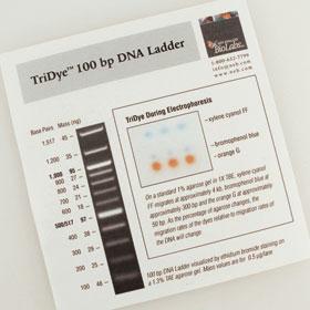 TriDye 100 bp DNA Ladder - 125 gel lanes