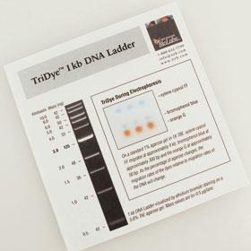 TriDye 1 kb DNA Ladder - 125 gel lanes