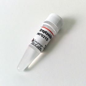 Streptavidin - 1.0 mg