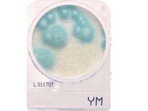 Compact Dry™ yeast/mold (YM)