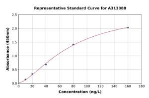 Representative standard curve for mouse HGF ELISA kit (A313388)