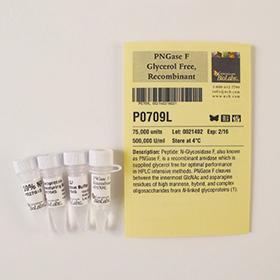 PNGase F (Glycerol-free), Recombinant - 75,000 units