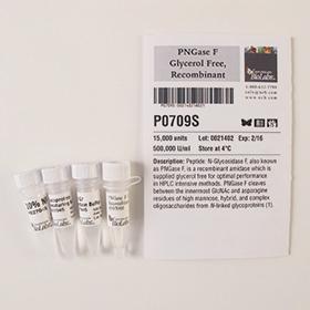 PNGase F (Glycerol-free), Recombinant - 15,000 units