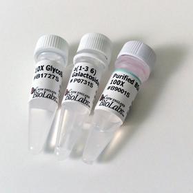 alpha 1-3,6 Galactosidase - 100 units