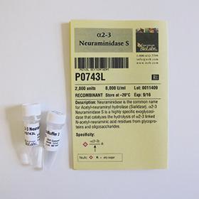 alpha 2-3 Neuraminidase S - 1,000 units