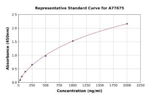 Representative standard curve for Human Anti-Amphiphysin ELISA kit (A77675)