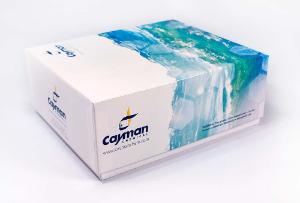 Protein Carbonyl Colorimetric Assay Kit, Cayman Chemical Company
