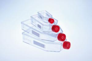 CELLSTAR® Filter Cap Cell Culture Flasks