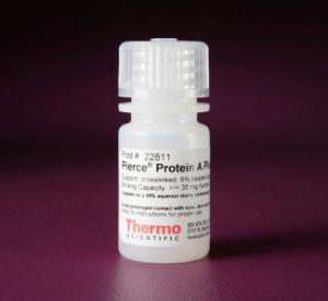 Pierce™ Protein A Plus Agarose, Thermo Scientific