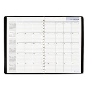 AT-A-GLANCE® DayMinder® 14-Month Ruled Monthly Planner, Essendant