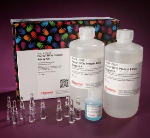 Pierce™ BCA® Protein Assay Kits and Reagents, Thermo Scientific