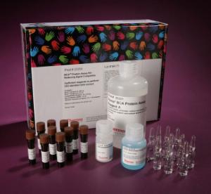 Pierce™ BCA™ Protein Assays, Reducing Agent Compatible, Thermo Scientific