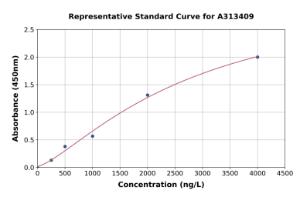 Representative standard curve for human Caspase-14 ELISA kit (A313409)