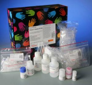Pierce™ Immunoprecipitation, Classic IP Kit, Thermo Scientific