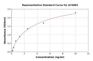 Representative standard curve for Human MMP24 ELISA kit (A74893)