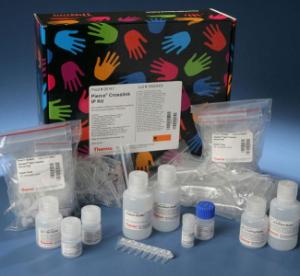 Pierce™ Immunoprecipitation, Crosslink IP Kit, Thermo Scientific