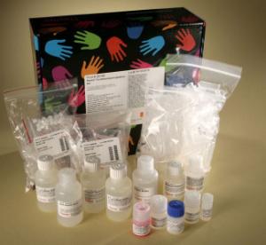 Pierce™ Co-Immunoprecipitation Kit, Thermo Scientific