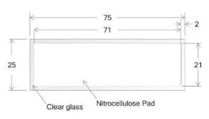 Avid Nitrocellulose Film Slide