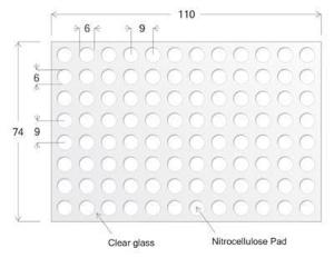 Nitrocellulose Microtiter Plates