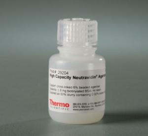Pierce™ NeutrAvidin™ Agarose, Thermo Scientific