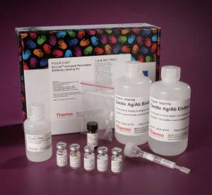 Pierce™ EZ-Link™ Activated Peroxidase Antibody Labeling Kit, Thermo Scientific
