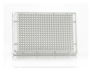 384 well assay plate, front