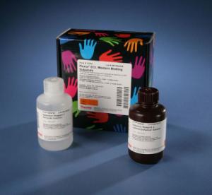 Pierce™ ECL Western Blotting Substrate, Thermo Scientific